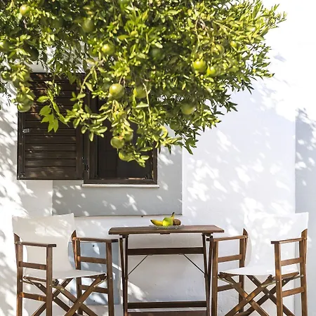 Theo's Traditional House
